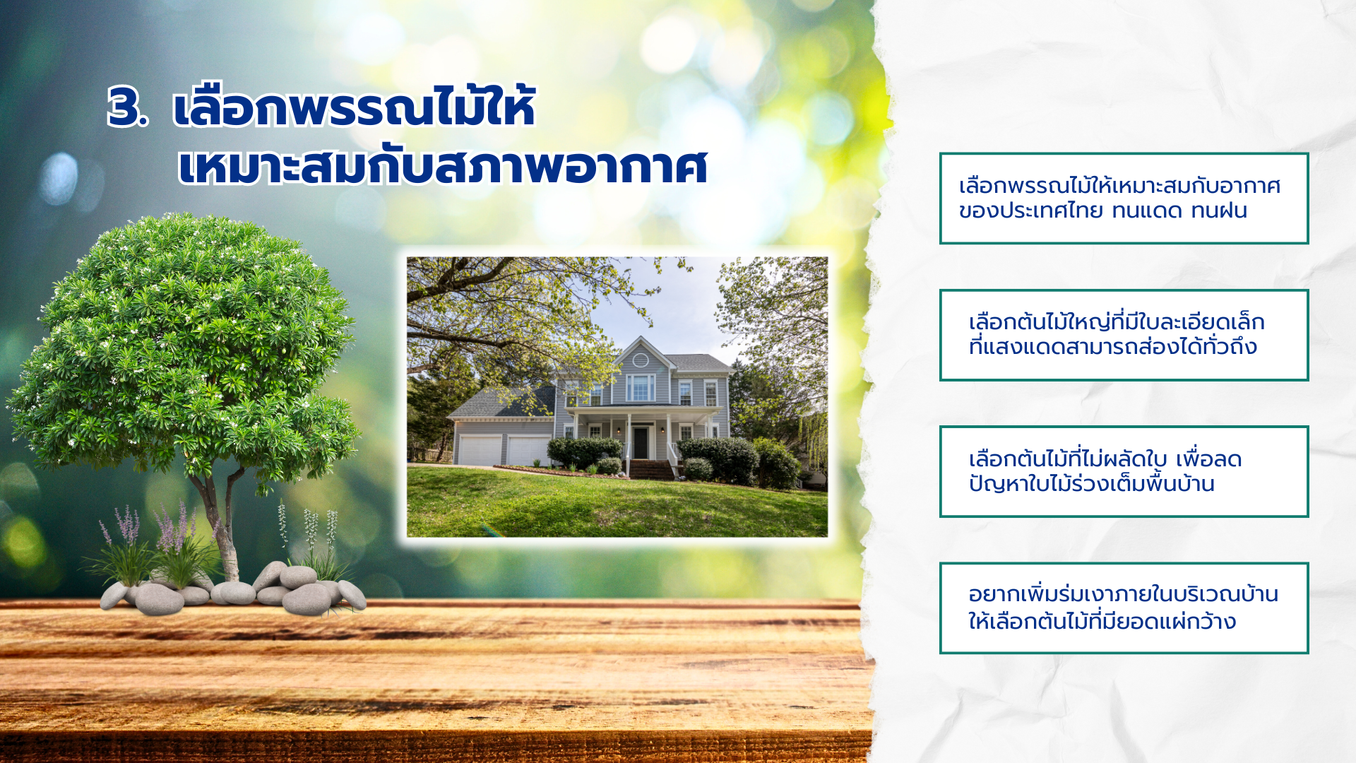 ปลูกต้นไม้ใหญ่ในบ้านระยอง
