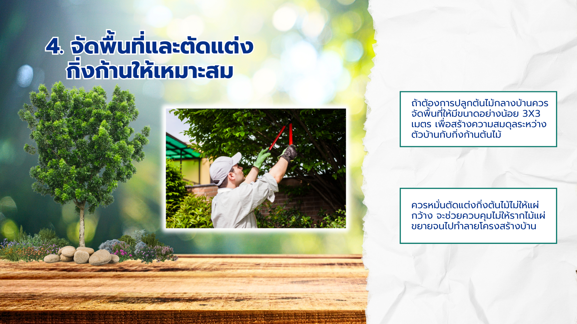 ปลูกต้นไม้ใหญ่ในบ้านระยอง