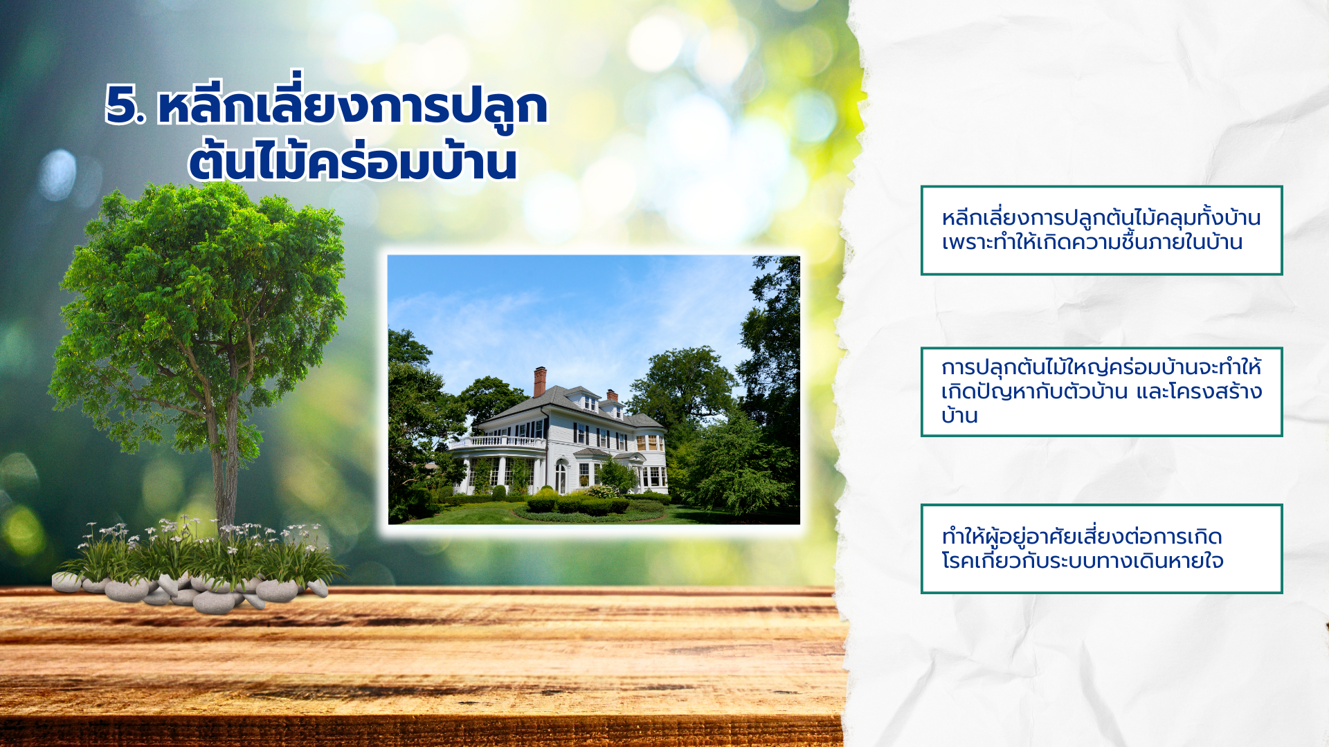ปลูกต้นไม้ใหญ่ในบ้านระยอง