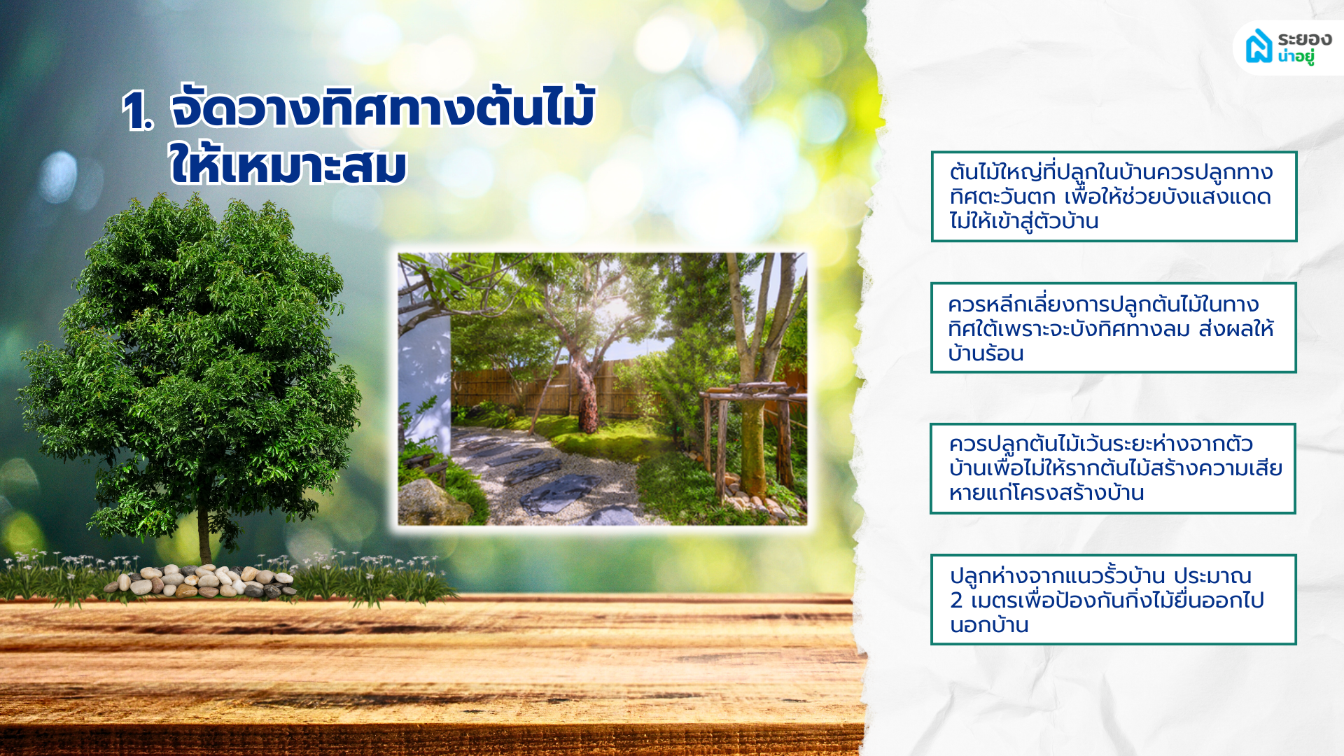 ปลูกต้นไม้ใหญ่ในบ้านระยอง