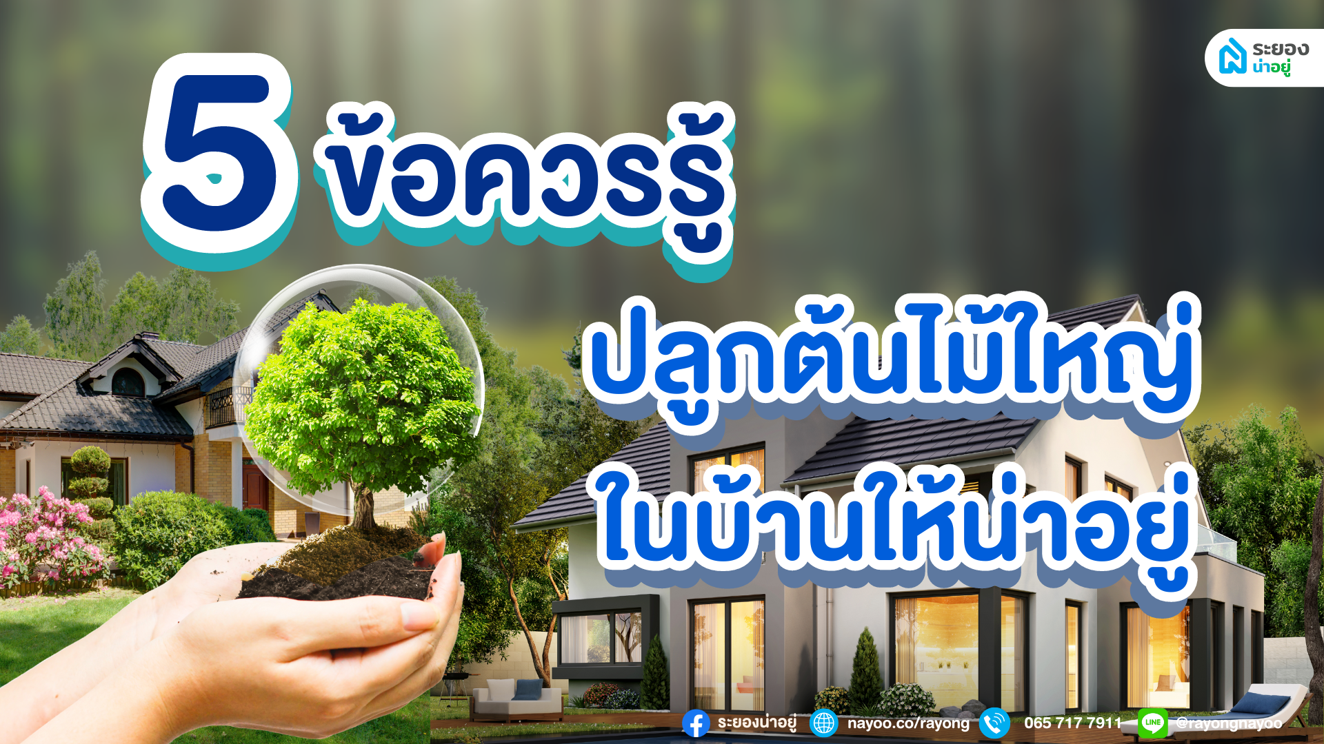 5 ข้อควรรู้ ปลูกต้นไม้ใหญ่ในบ้านให้น่าอยู่