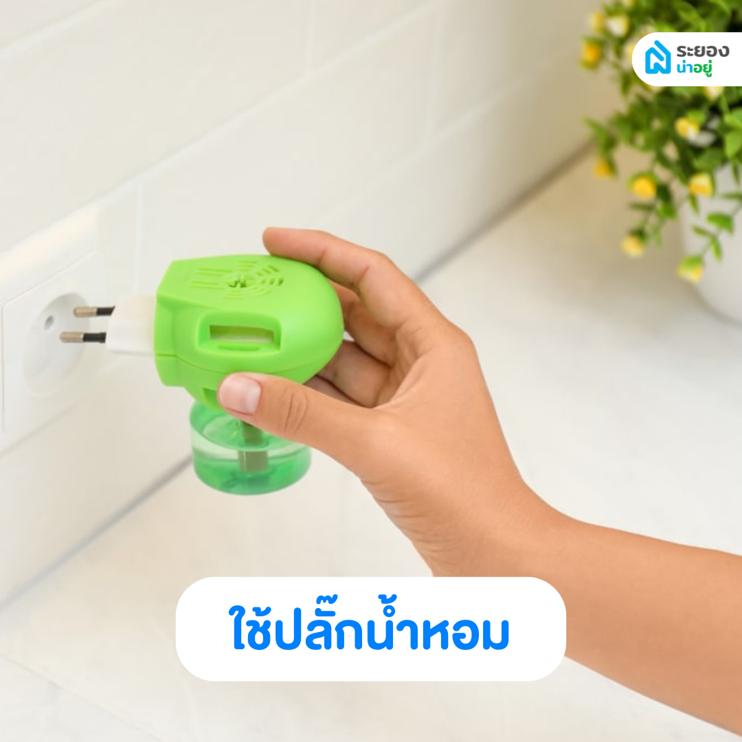 ปลั๊กน้ำหอม