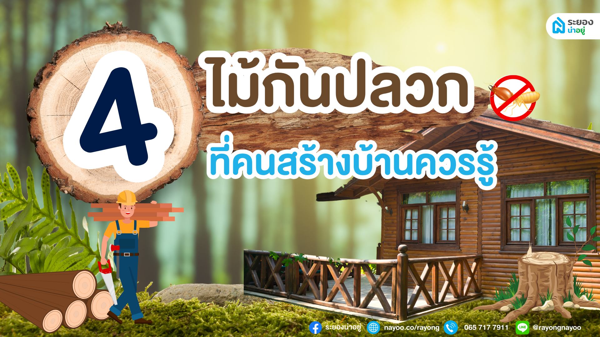 4 ไม้กันปลวก ที่คนสร้างบ้านควรรู้