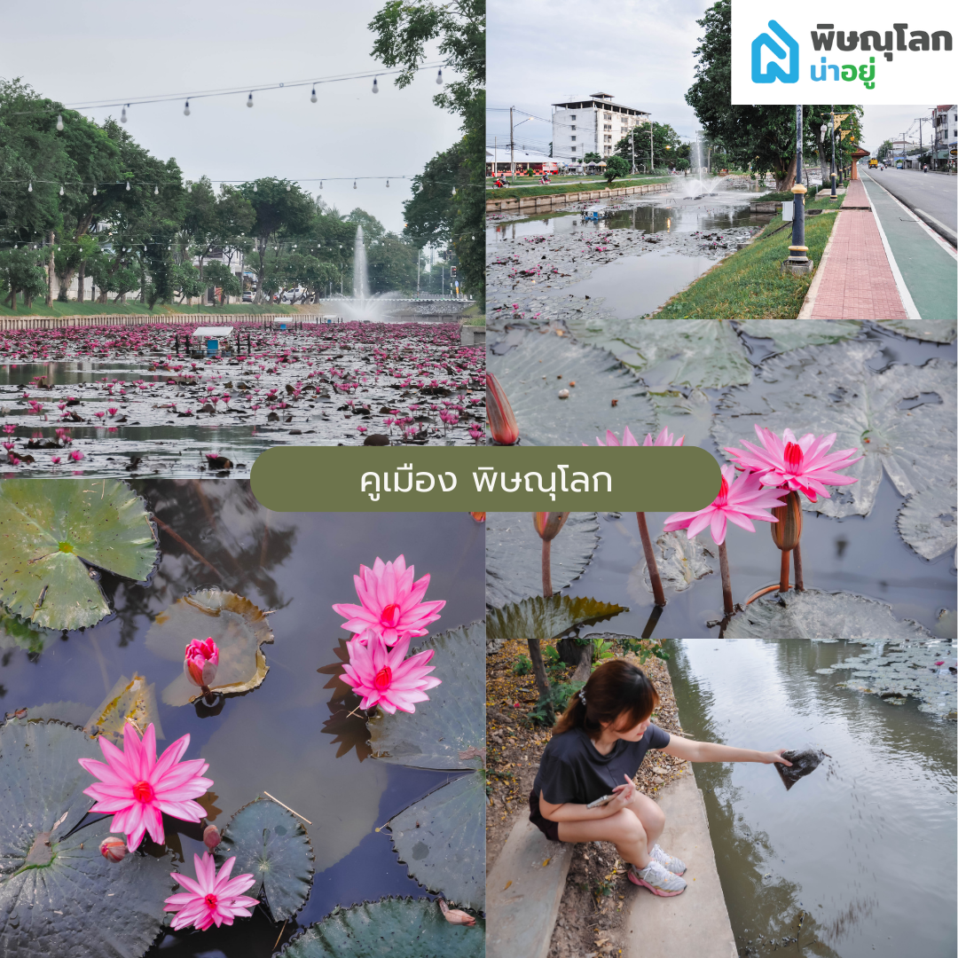ปักหมุด!! สถานที่วิ่งในจังหวัดพิษณุโลก