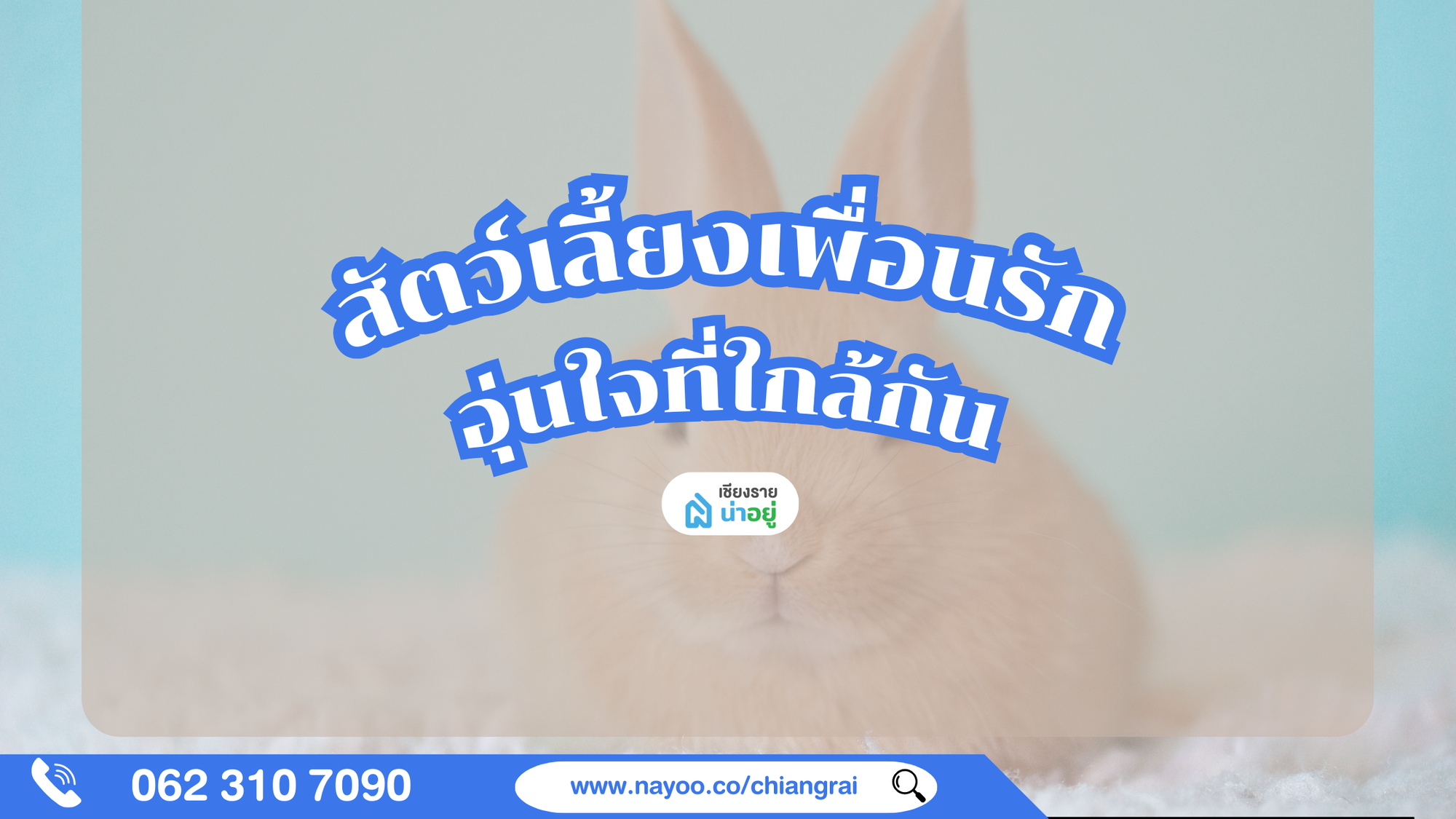 เหตุผลที่สัตว์เลี้ยงเปลี่ยนชีวิตเราให้ดีขึ้น