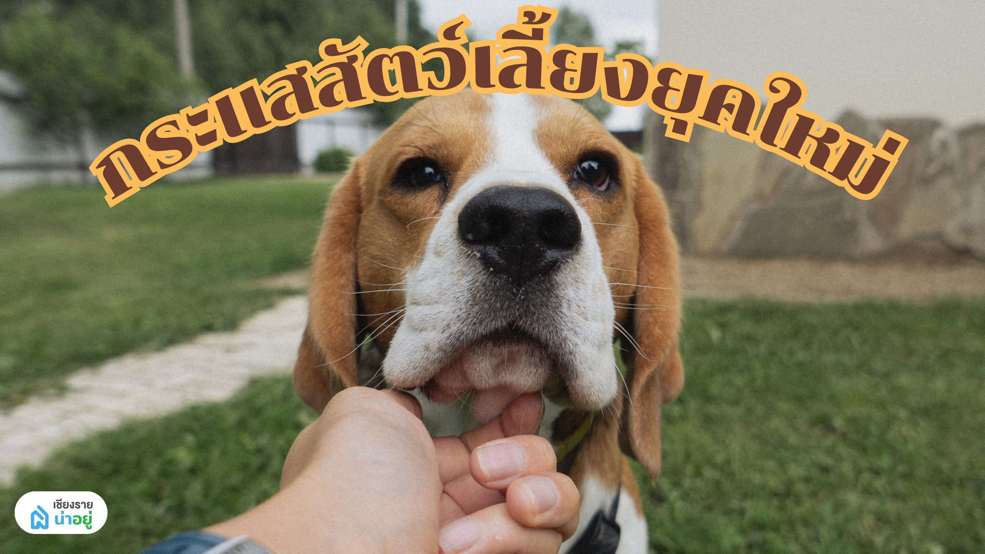 สัตว์เลี้ยงมาแรงในช่วงนี้ เทรนด์ที่สะท้อนใจคนยุคใหม่