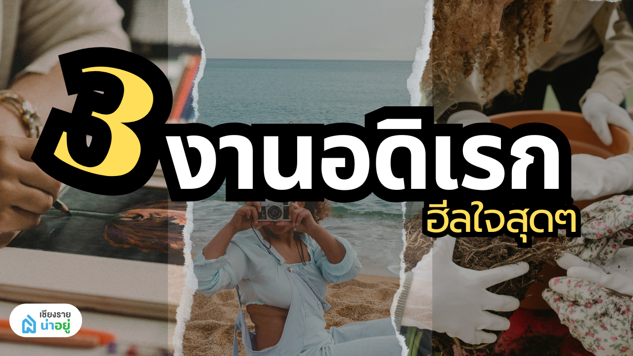 3งานอดิเรกที่ช่วยเติมพลังใจ     การวาดรูป การถ่ายภาพ และการทำสวน
