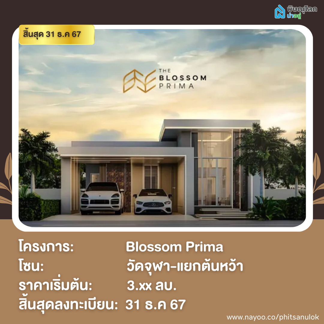 20 โครงการใหม่ใกล้เปิดตัว พิษณุโลก