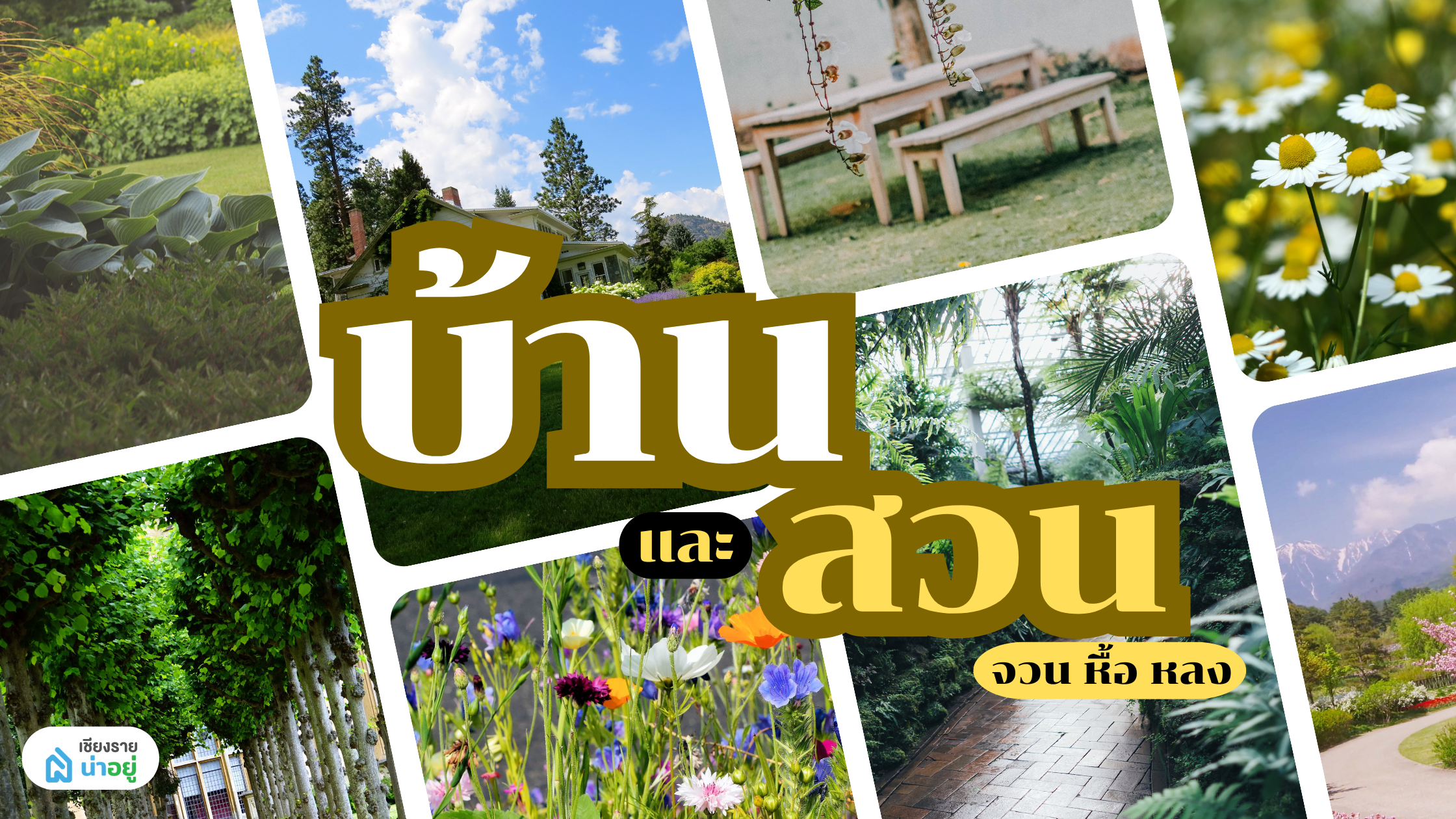 การทำสวนในบ้าน เริ่มต้นง่ายๆ สำหรับมือใหม่