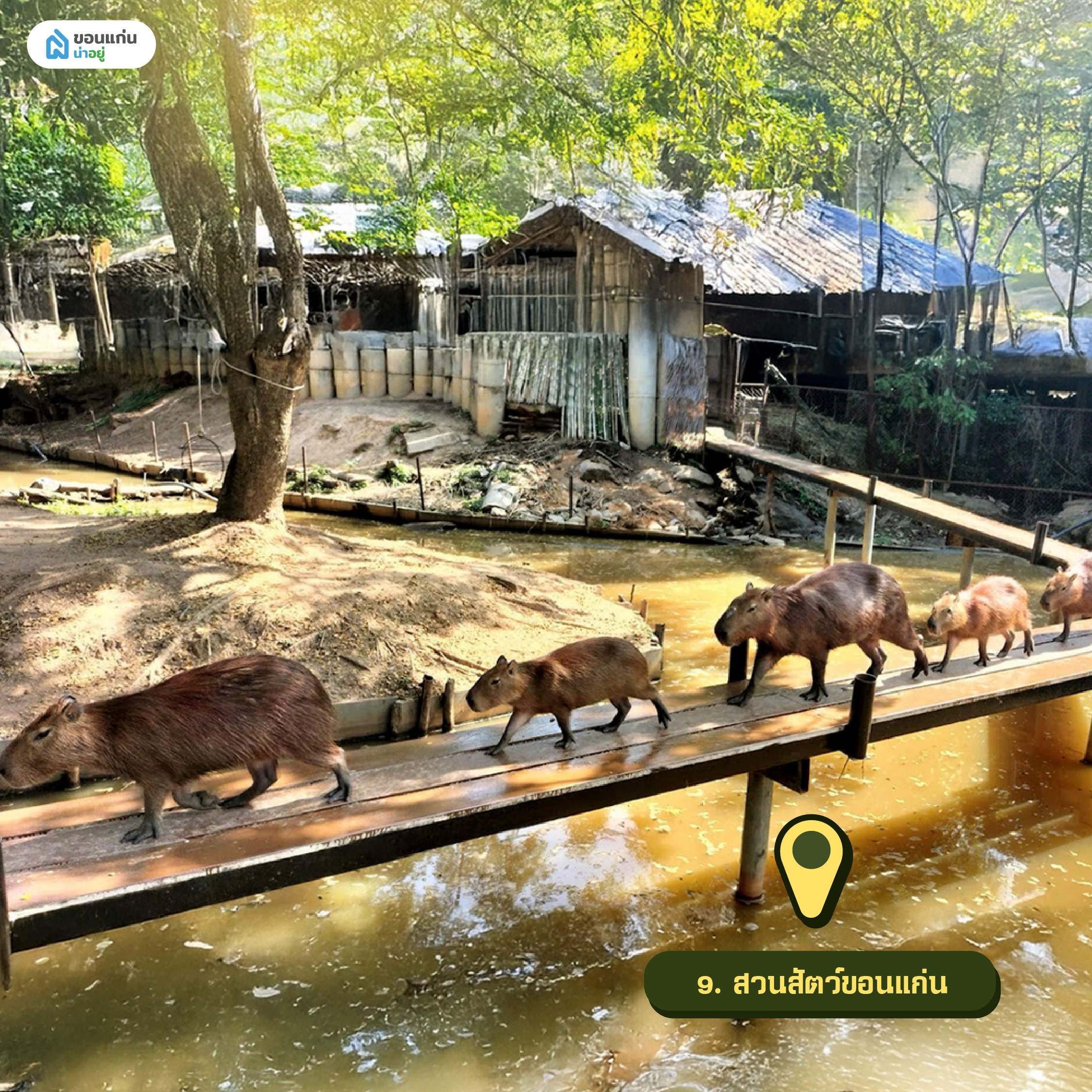 สวนสัตว์ขอนแก่น