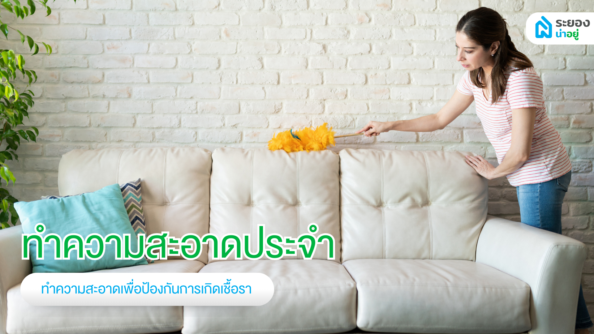 ทำความสะอาดเฟอร์นิเจอร์