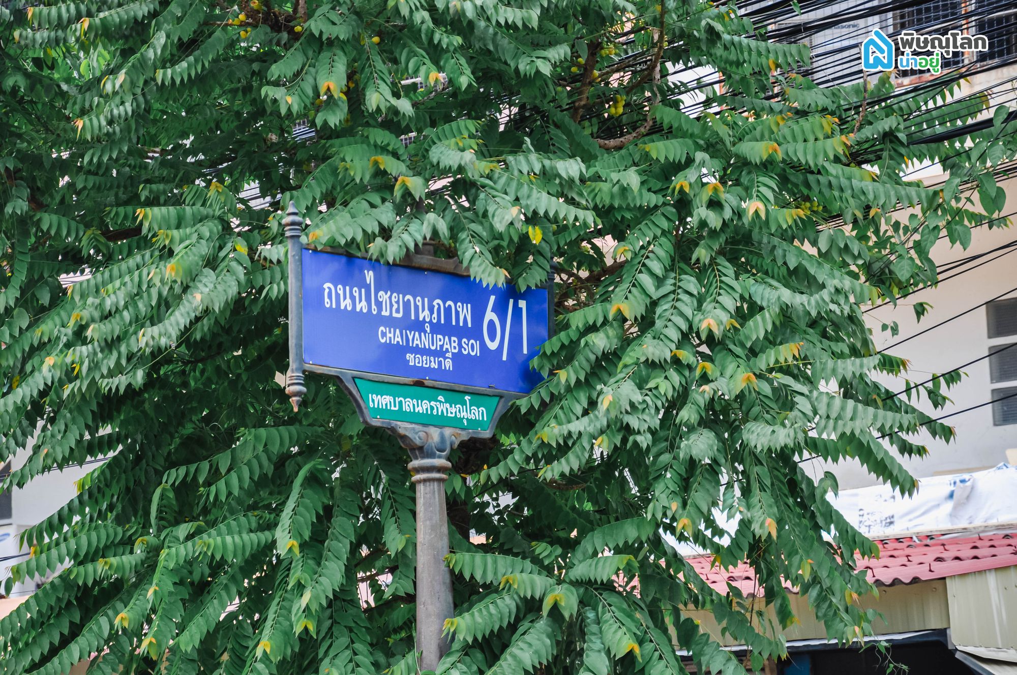 [รีวิวบ้านใหม่] บ้านเดี่ยวใจกลางเมืองพิษณุโลก ทำเลที่ดีที่สุดที่ โครงการ BHOUSE