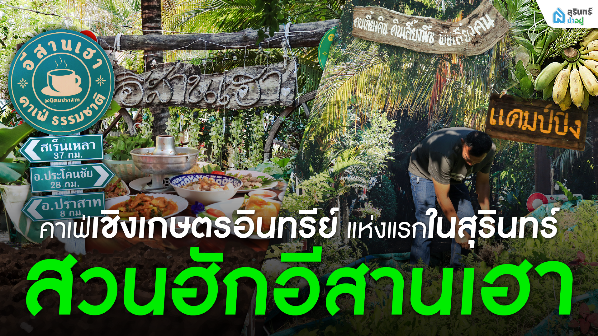 สุรินทร์น่าอยู่ พาเที่ยว คาเฟ่เชิงเกษตรอินทรีย์ แห่งแรกในสุรินทร์ สวนฮักอีสานเฮา