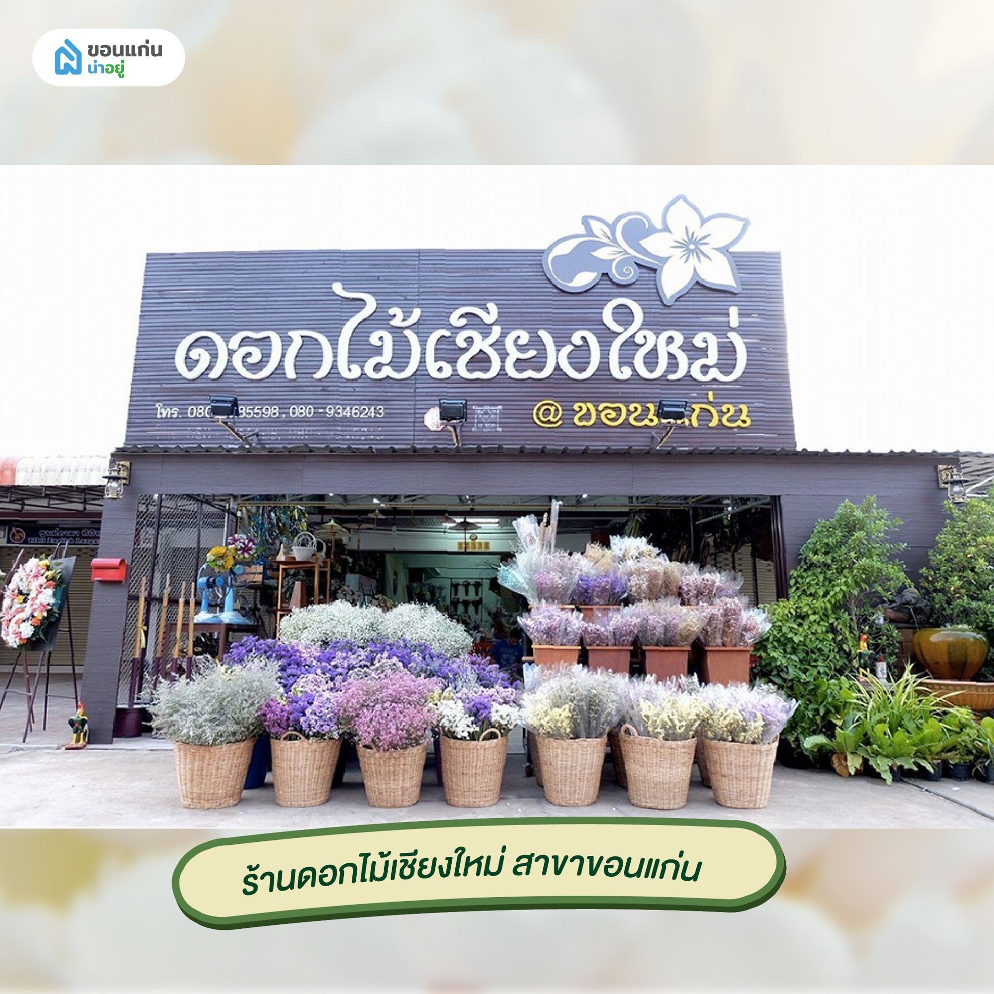 ร้านขายดอกไม้ขอนแก่น ร้านดอกไม้เชียงใหม่ สาขาขอนแก่น