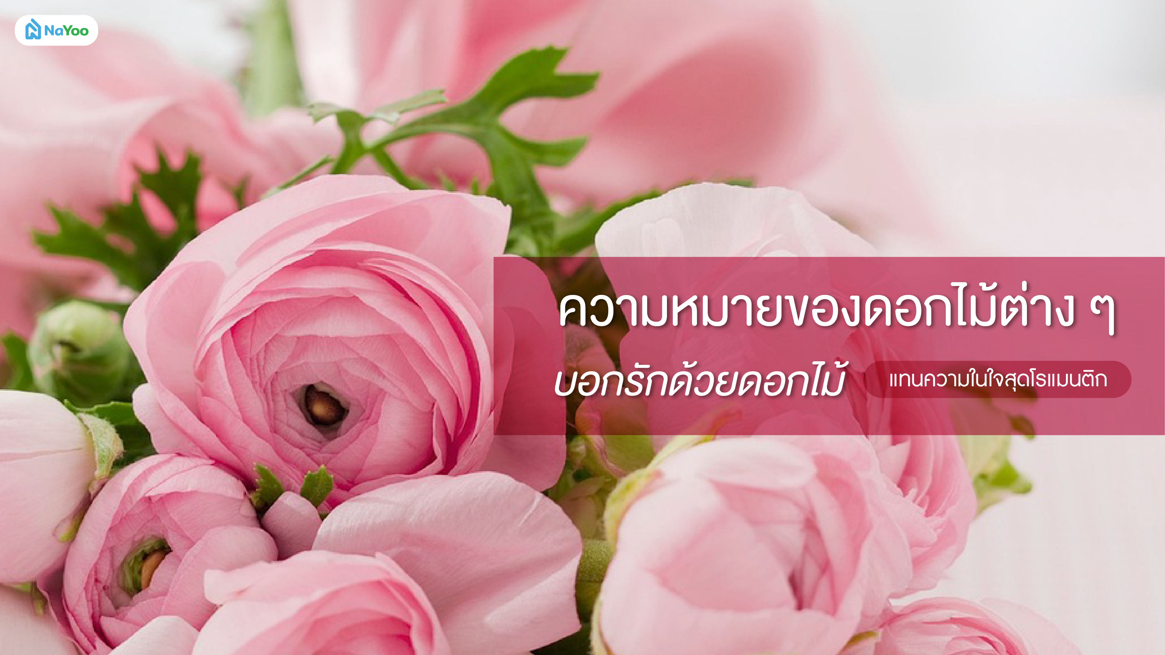 ความหมายของดอกไม้ต่าง ๆ บอกรักด้วยดอกไม้ แทนความในใจสุดโรแมนติก
