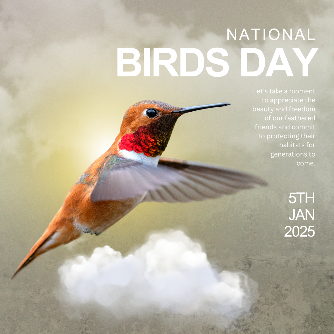 วันนกแห่งชาติ (National Bird Day)