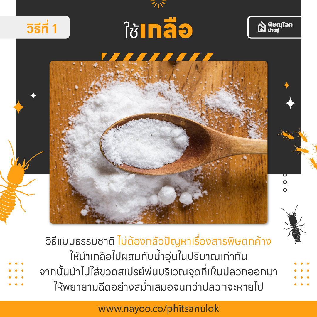 วิธีป้องกันและกำจัดปลวกด้วยตัวเองแบบง่ายๆ ได้ผลดี