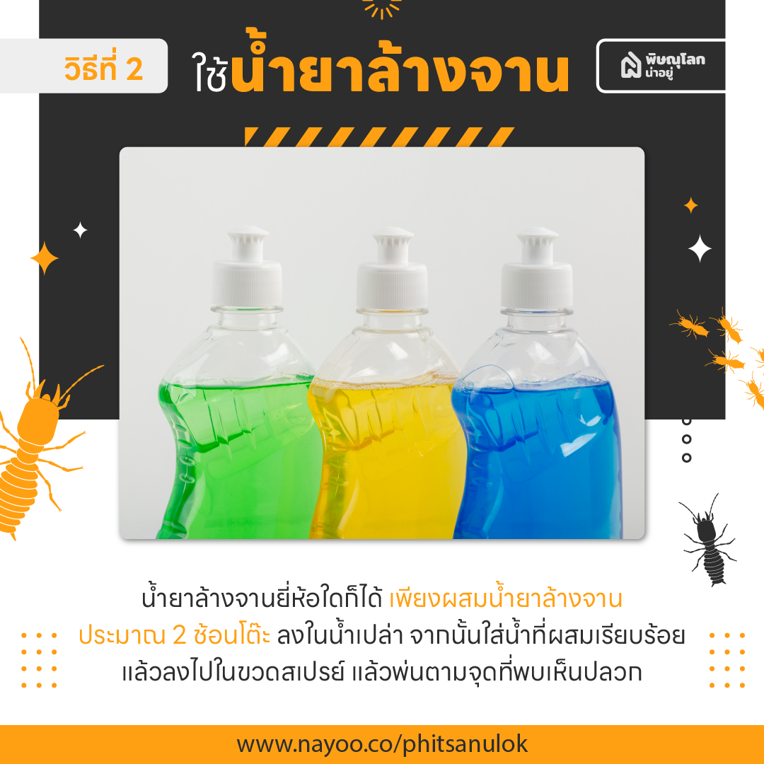 วิธีป้องกันและกำจัดปลวกด้วยตัวเองแบบง่ายๆ ได้ผลดี