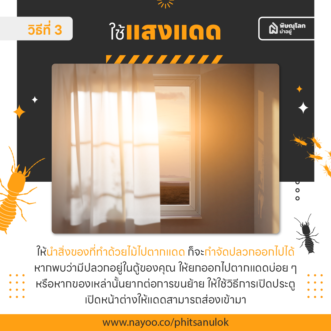 วิธีป้องกันและกำจัดปลวกด้วยตัวเองแบบง่ายๆ ได้ผลดี