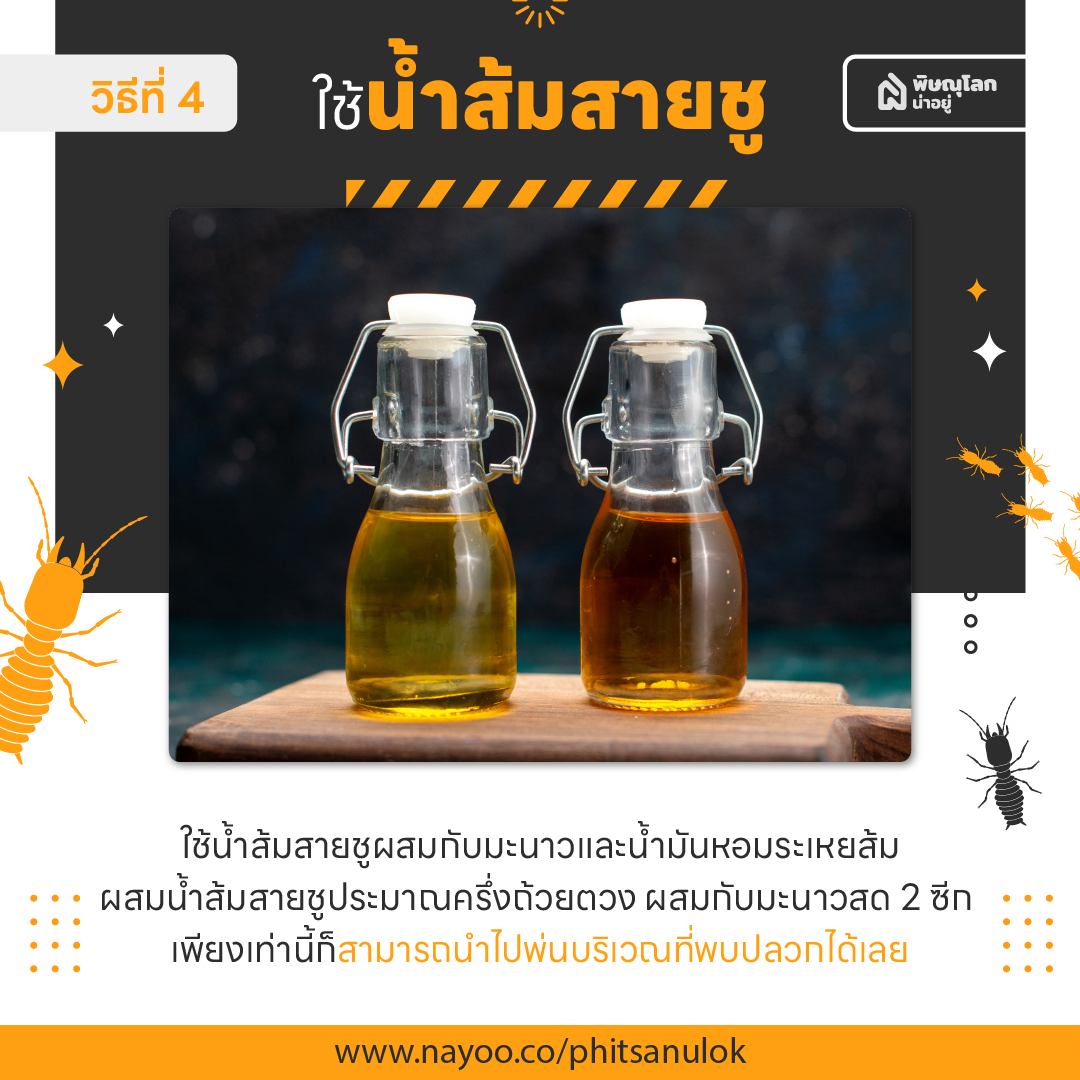 วิธีป้องกันและกำจัดปลวกด้วยตัวเองแบบง่ายๆ ได้ผลดี