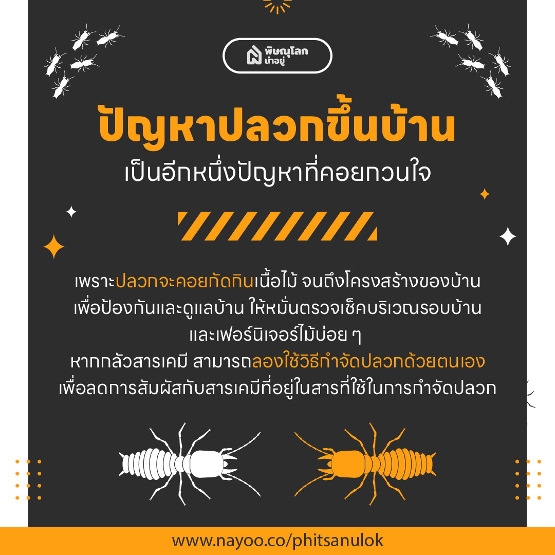 วิธีป้องกันและกำจัดปลวกด้วยตัวเองแบบง่ายๆ ได้ผลดี