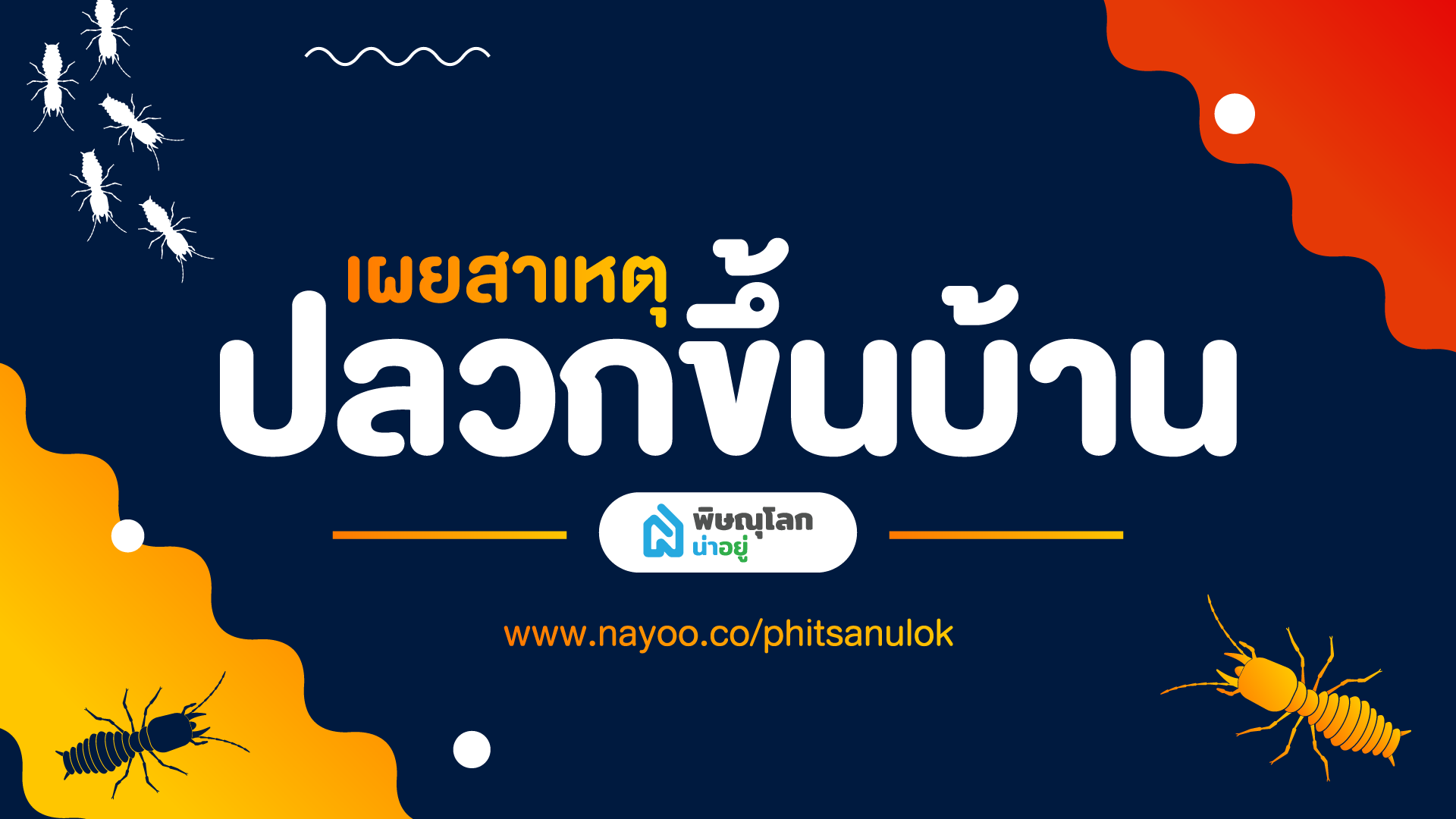 เผยสาเหตุปลวกขึ้นบ้าน
