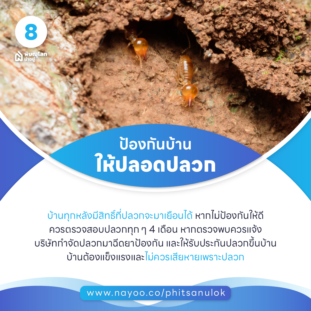 เคล็ดลับการดูแลบ้าน ให้ดูเหมือนใหม่อยู่เสมอ