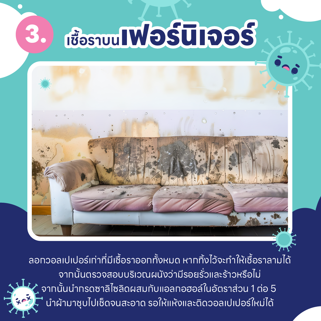 บ้านชื้น ขึ้นรา เป็นเพราะอะไร ? และ วิธีกำจัดเชื้อรา ในบ้านแบบไม่ให้กลับมาอีก