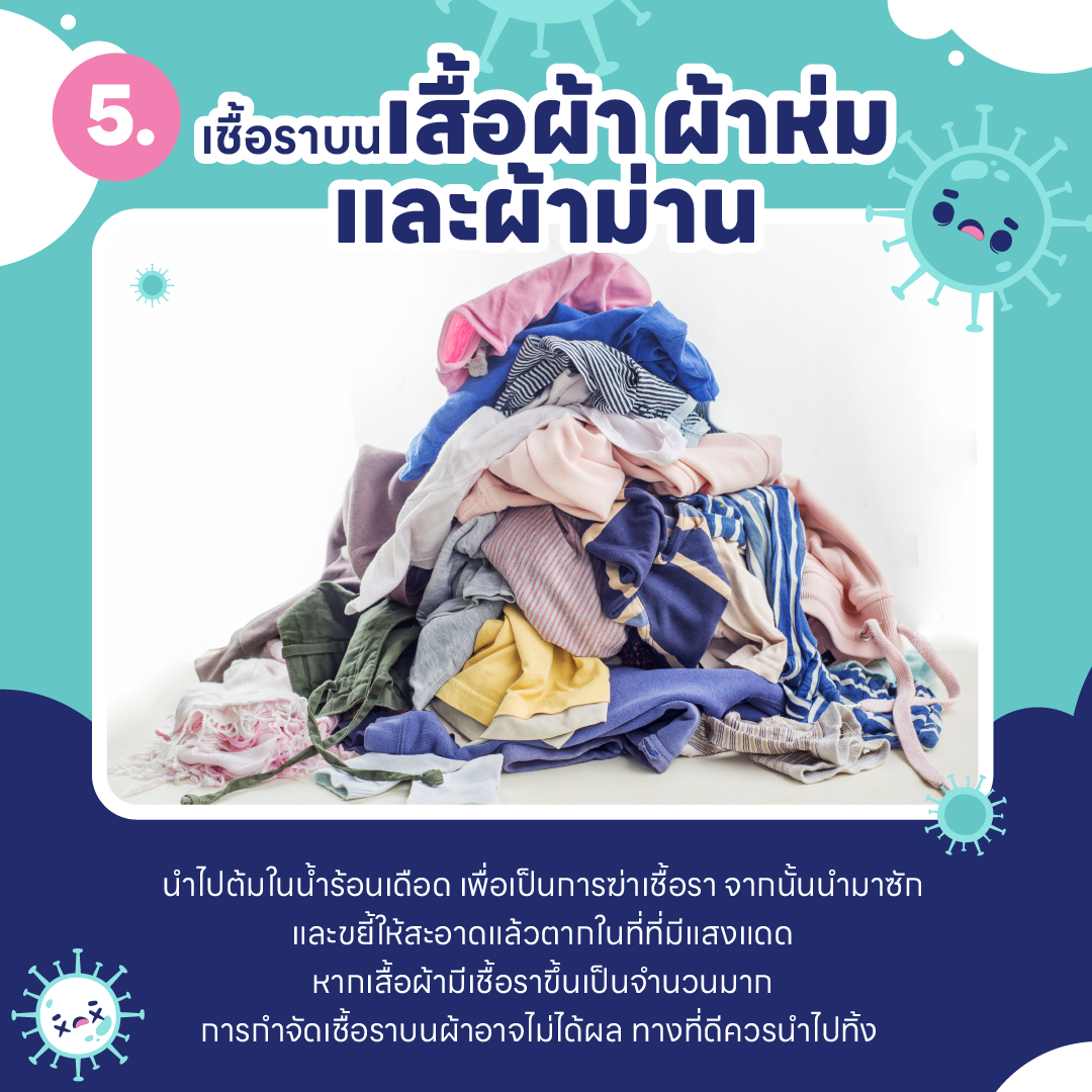บ้านชื้น ขึ้นรา เป็นเพราะอะไร ? และ วิธีกำจัดเชื้อรา ในบ้านแบบไม่ให้กลับมาอีก