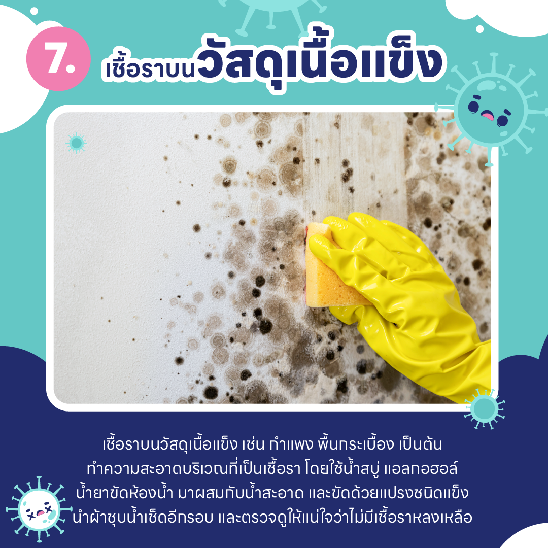 บ้านชื้น ขึ้นรา เป็นเพราะอะไร ? และ วิธีกำจัดเชื้อรา ในบ้านแบบไม่ให้กลับมาอีก