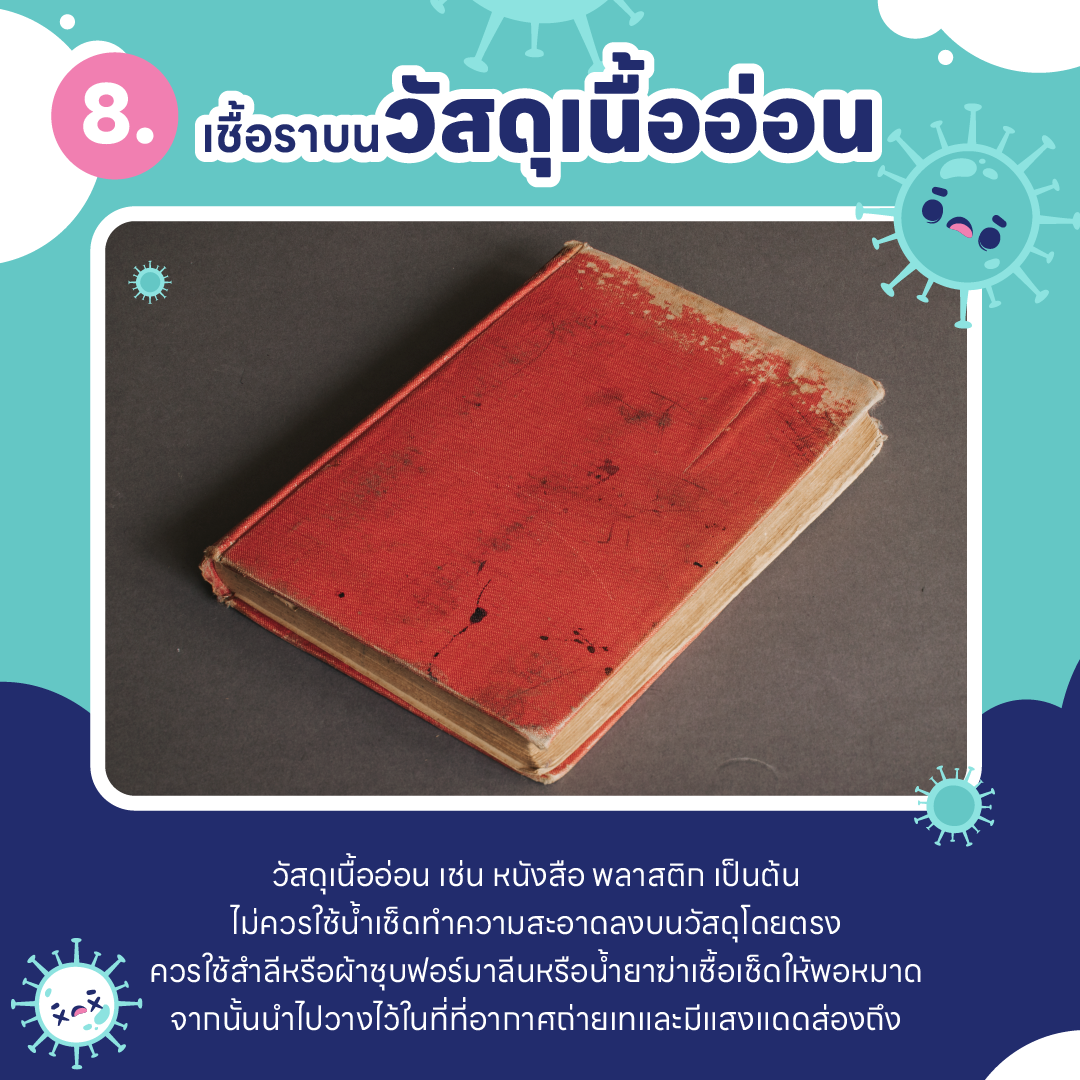 บ้านชื้น ขึ้นรา เป็นเพราะอะไร ? และ วิธีกำจัดเชื้อรา ในบ้านแบบไม่ให้กลับมาอีก