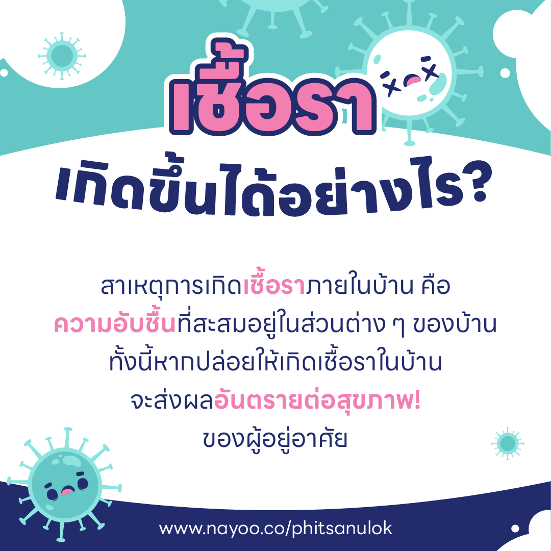 บ้านชื้น ขึ้นรา เป็นเพราะอะไร ? และ วิธีกำจัดเชื้อรา ในบ้านแบบไม่ให้กลับมาอีก