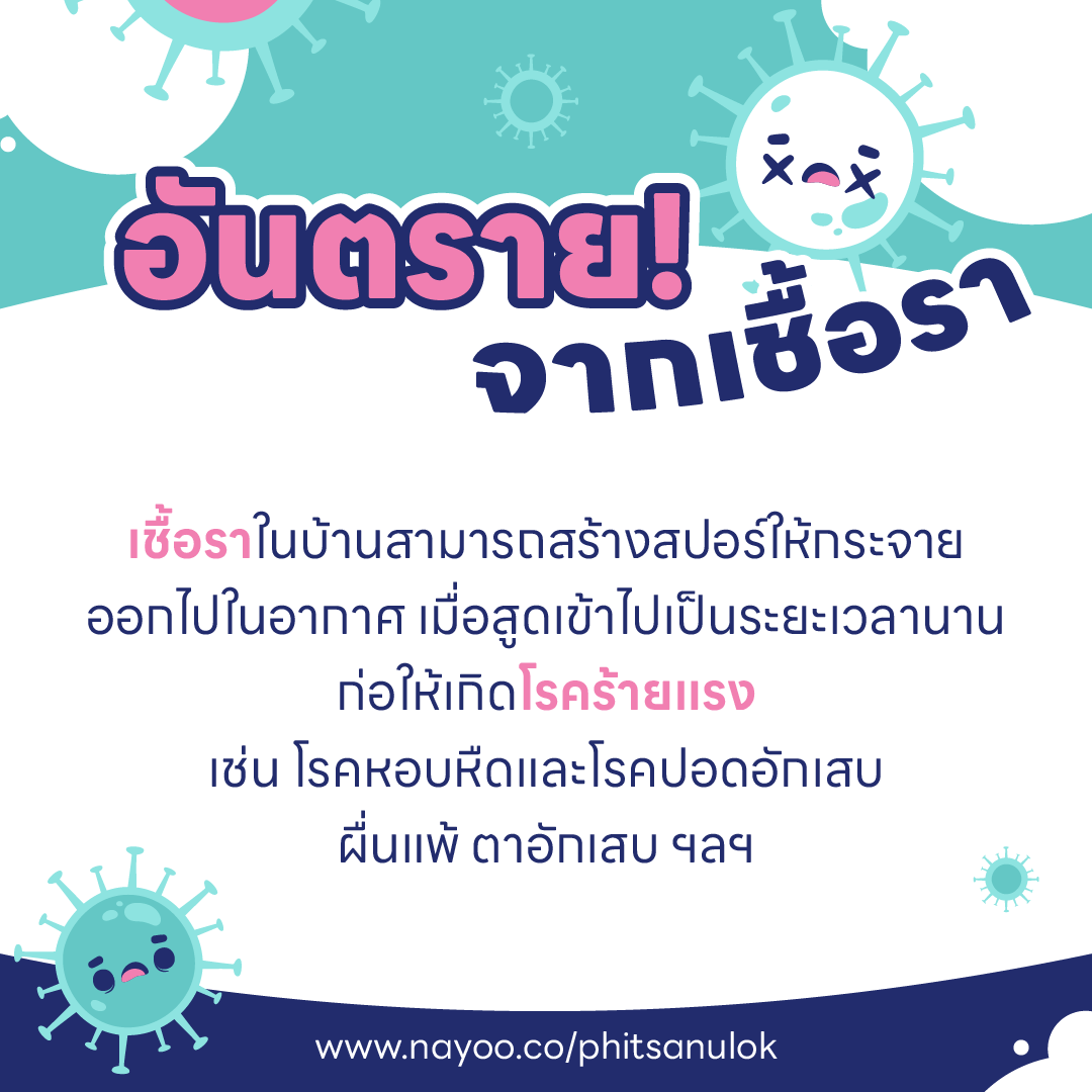 บ้านชื้น ขึ้นรา เป็นเพราะอะไร ? และ วิธีกำจัดเชื้อรา ในบ้านแบบไม่ให้กลับมาอีก