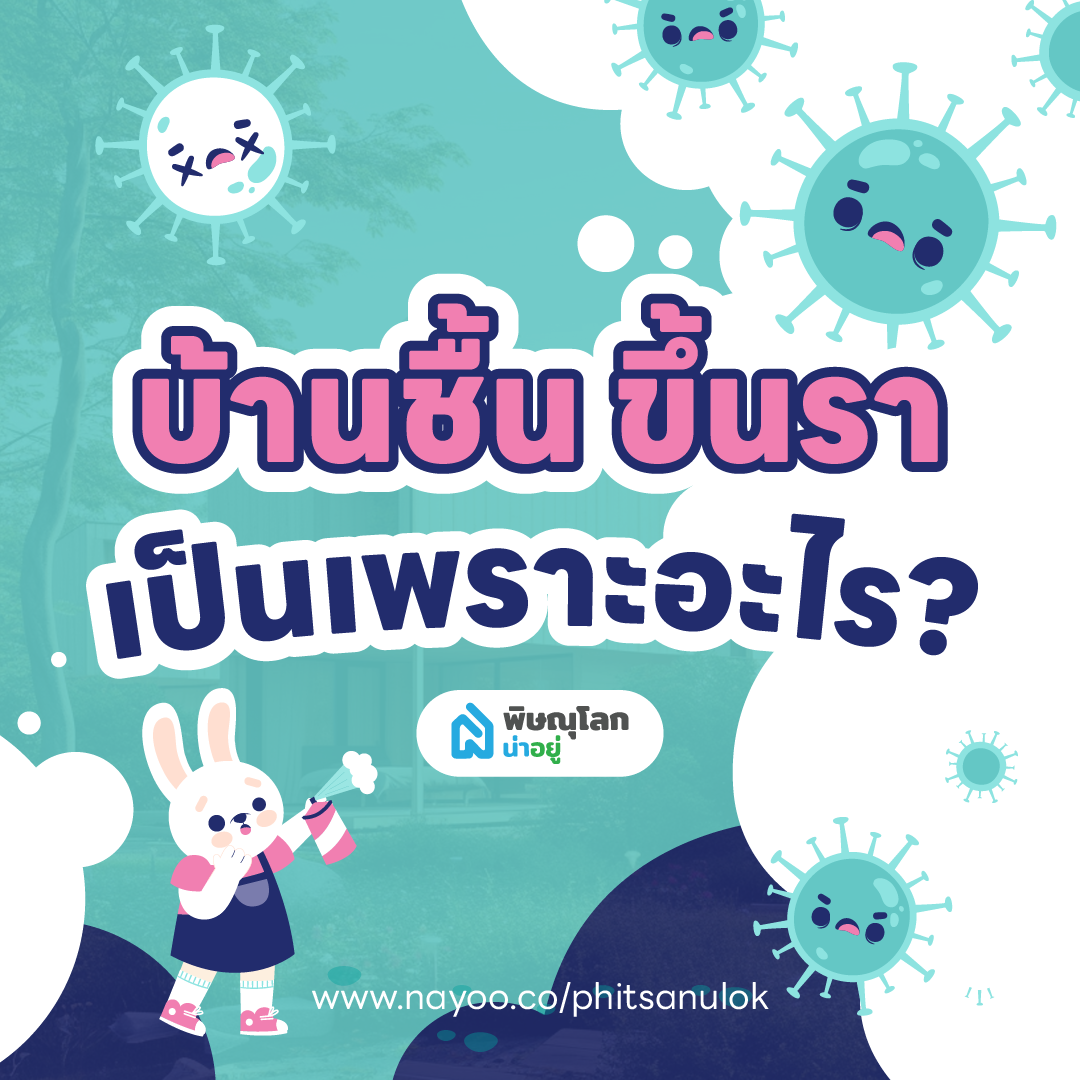 บ้านชื้น ขึ้นรา เป็นเพราะอะไร ? และ วิธีกำจัดเชื้อรา ในบ้านแบบไม่ให้กลับมาอีก
