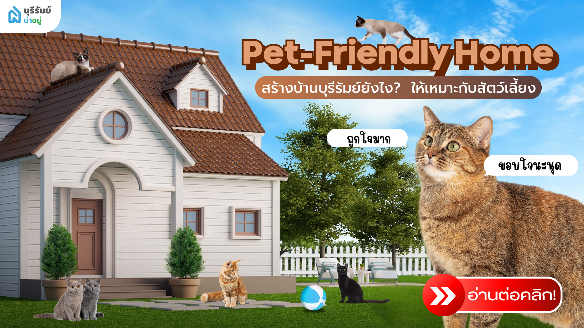 Pet-Friendly Home: สร้างบ้านบุรีรัมย์ยังไง? ให้เหมาะกับสัตว์เลี้ยง
