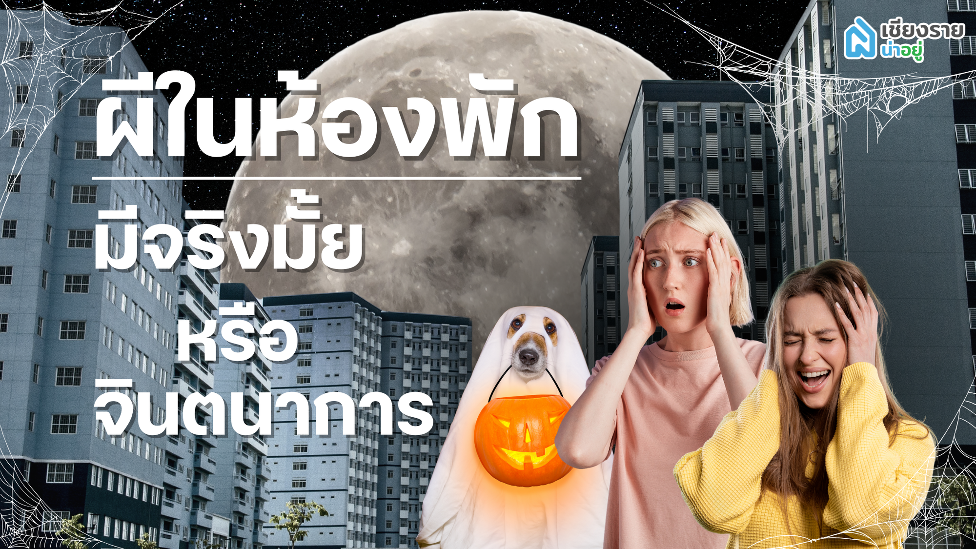 ผีในห้องพัก – ความจริงหรือจินตนาการ? และพวกเขาเป็นมิตรหรือไม่? 👻🏢