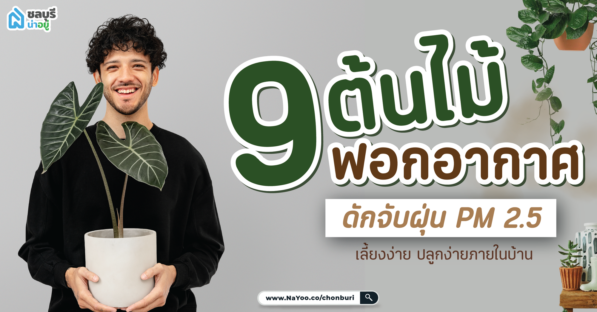 9 ต้นไม้ฟอกอากาศ ปลูกในบ้าน เพิ่มพื้นที่สีเขียว ดักฝุ่น PM 2.5