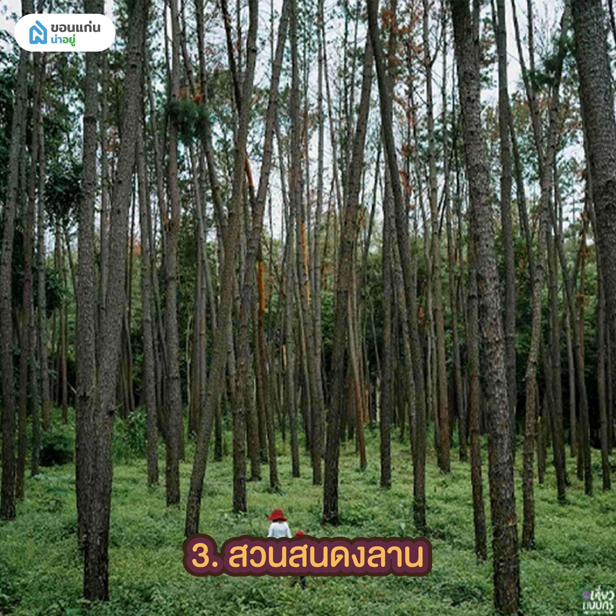 สวนสนดงลาน