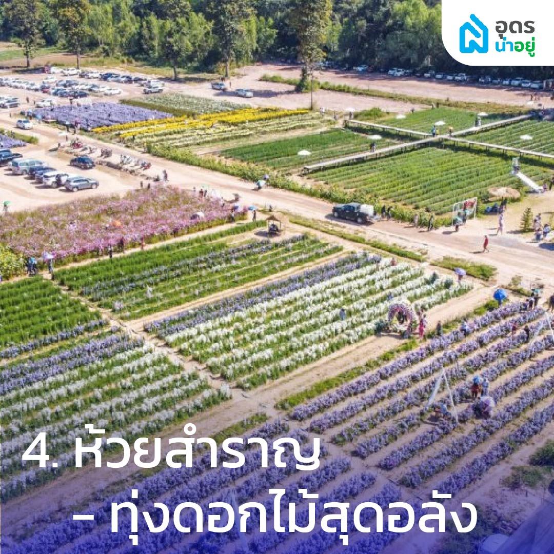 ห้วยสำราญ – ทุ่งดอกไม้สุดอลัง