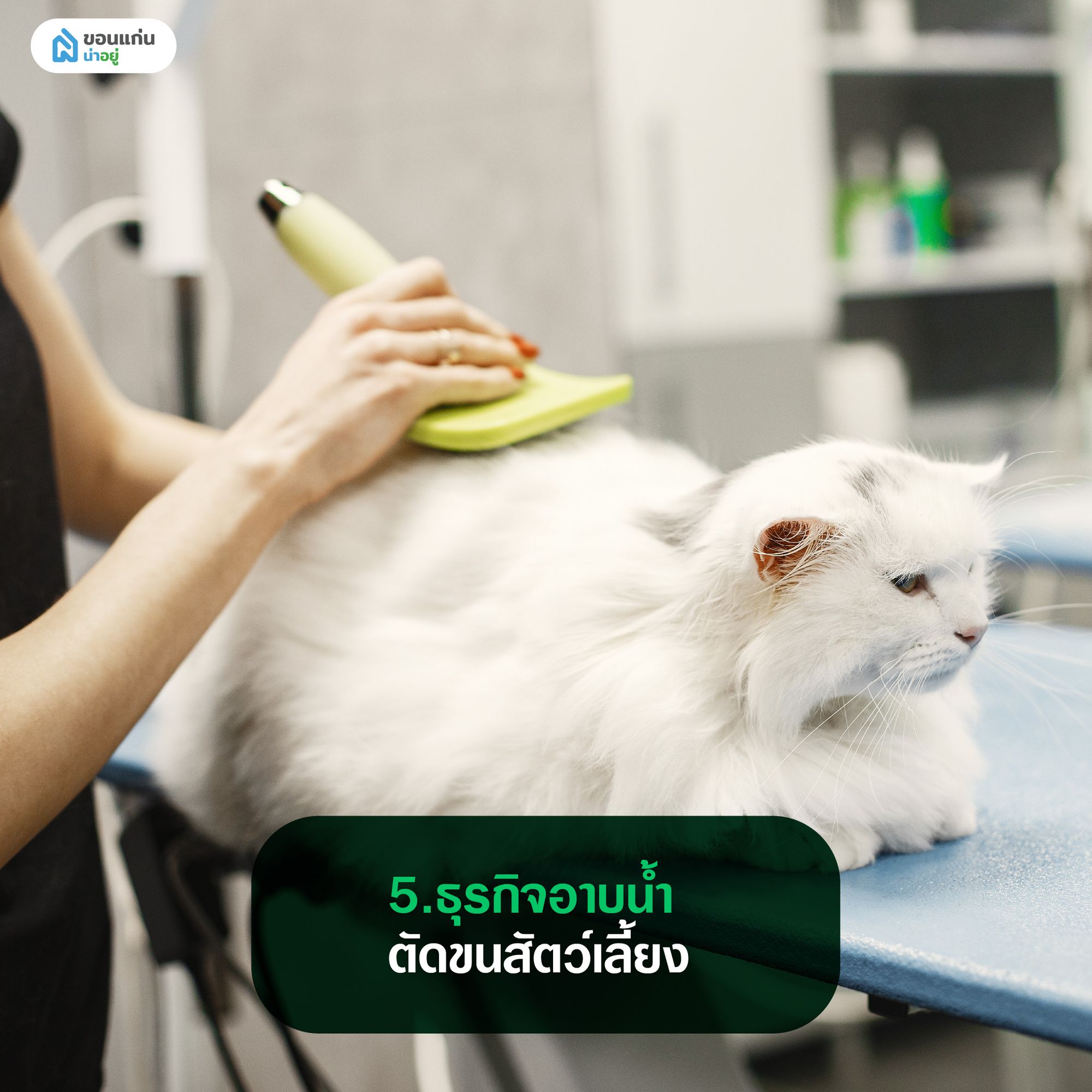 ธุรกิจอาบน้ำตัดขนสัตว์เลี้ยง