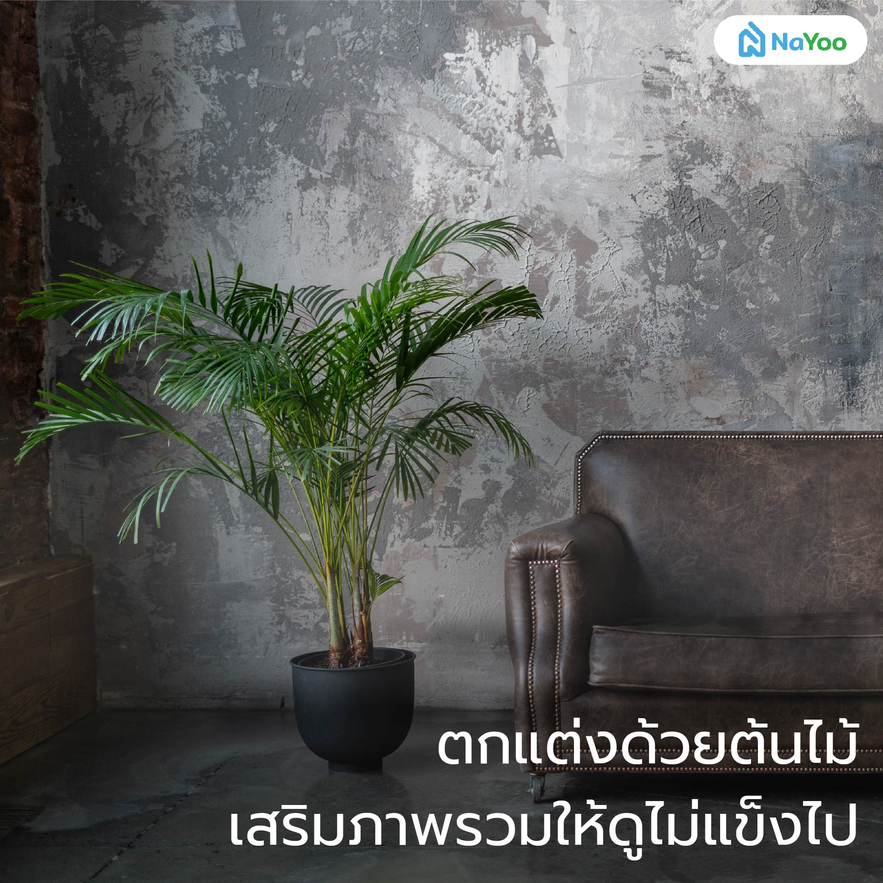 แต่งห้องสไตล์ลอฟท์ด้วยต้นไม้สีเขียว