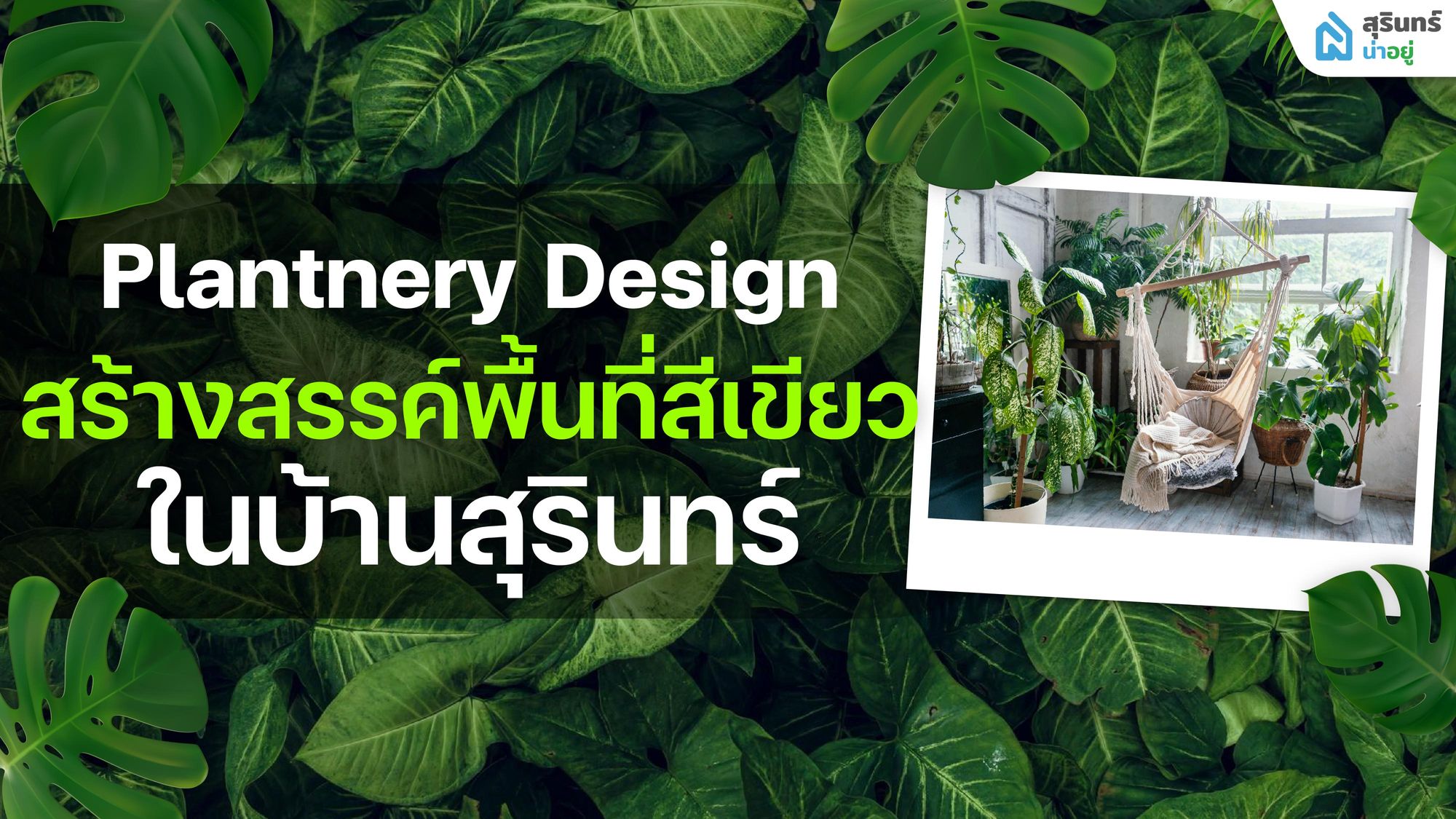 Plantnery Design สร้างสรรค์พื้นที่สีเขียวใน บ้านสุรินทร์