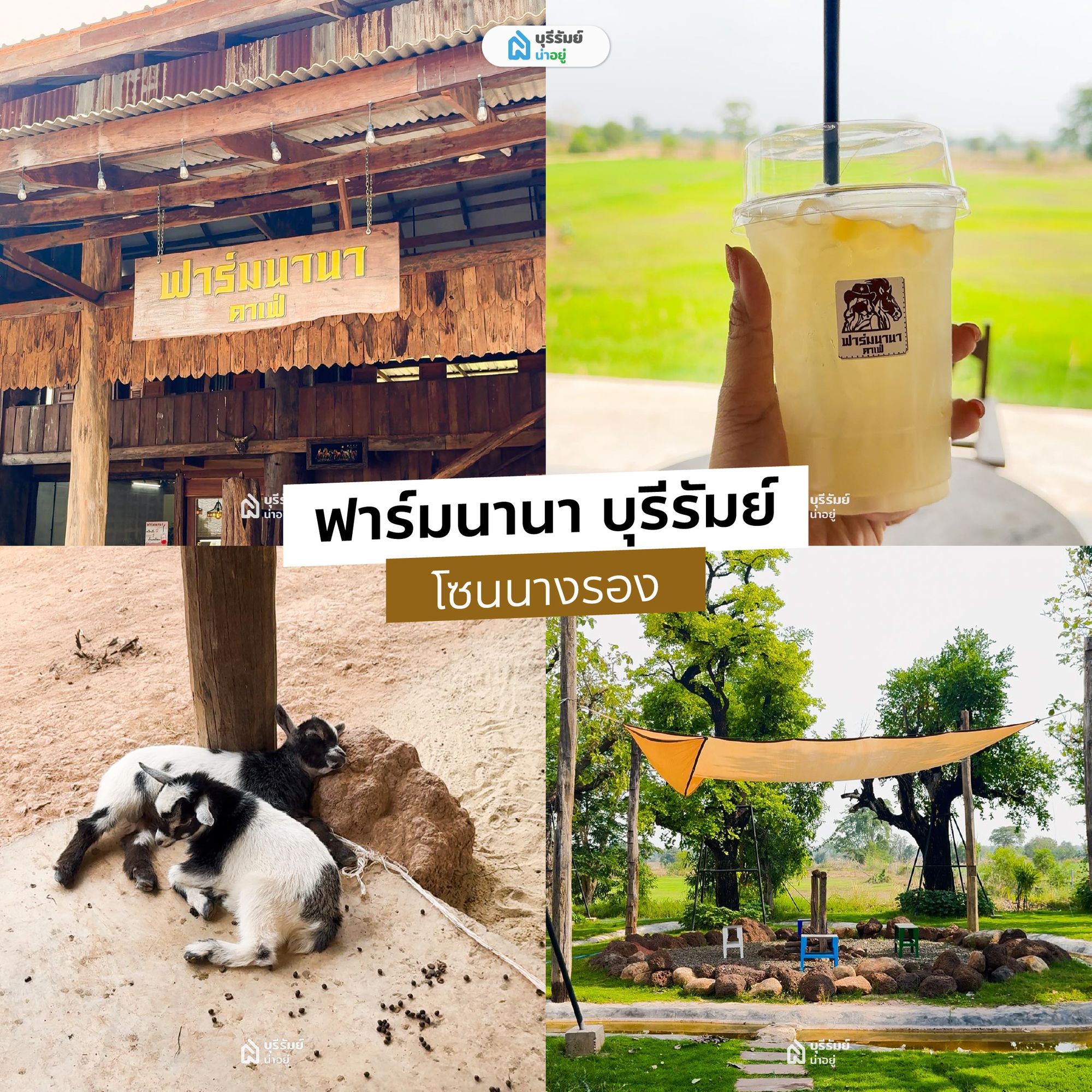 ฟาร์มนานา 