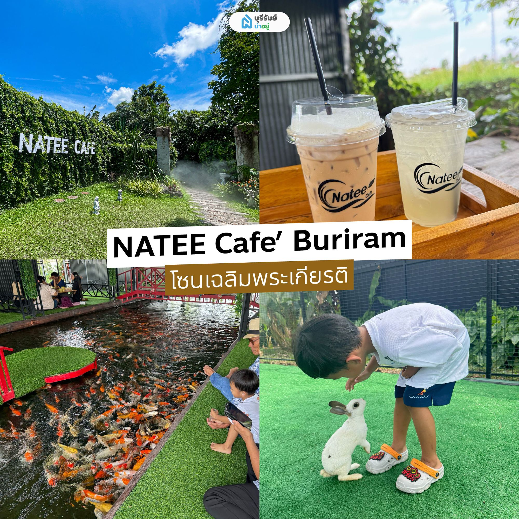 นทีคาเฟ่ ร้านอาหารและคาเฟ่ โซนเฉลิมพระเกียรติ