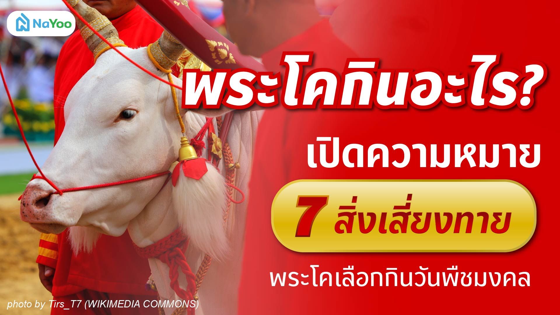 พระโคกินอะไร? เปิดความหมาย 7 สิ่งเสี่ยงทายพระโคเลือกกินวันพืชมงคล