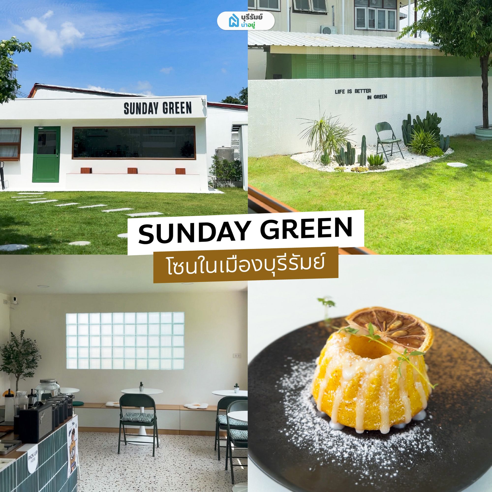 Sunday green 