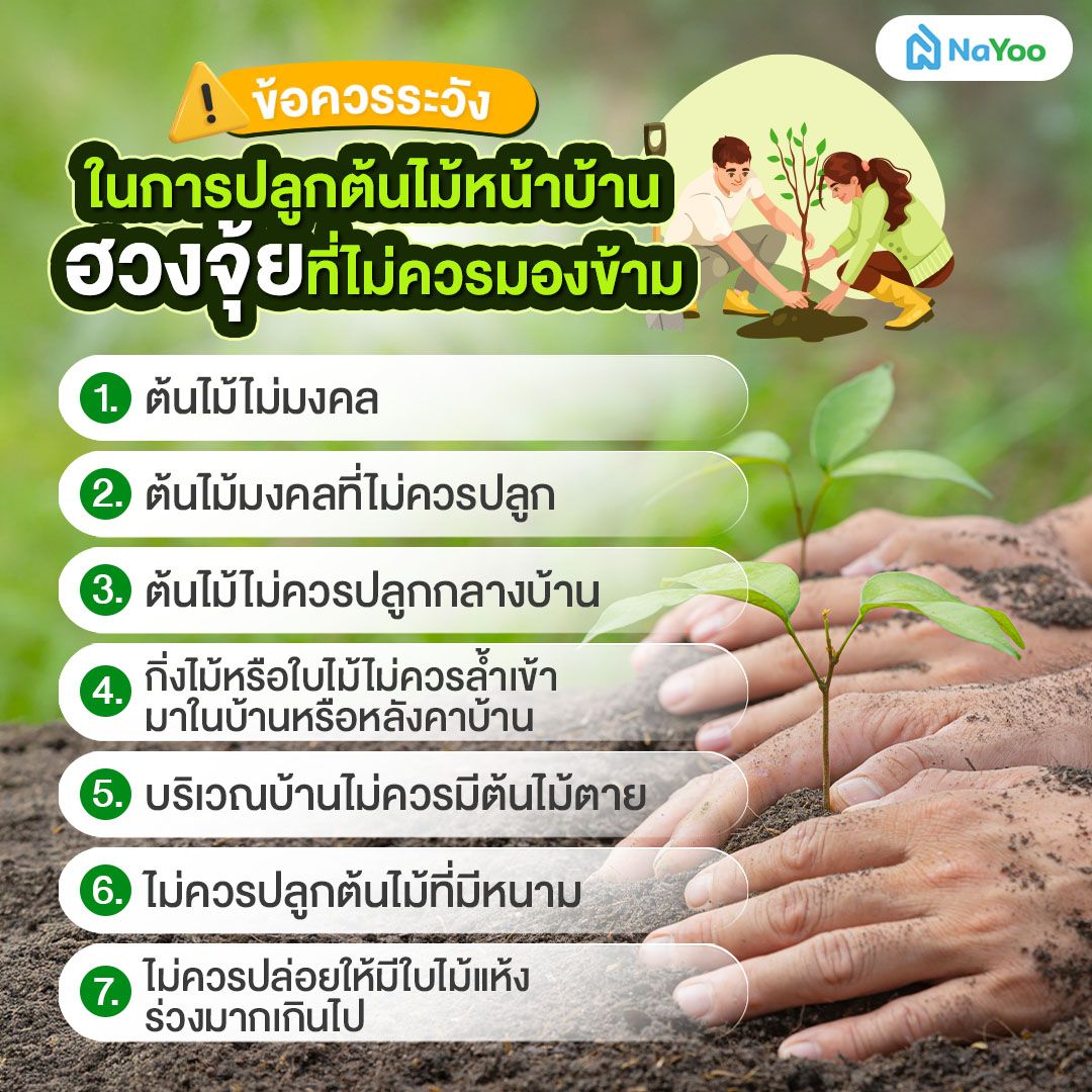 ข้อควรระวังในการปลูกต้นไม้หน้าบ้านฮวงจุ้ยที่ไม่ควรมองข้าม