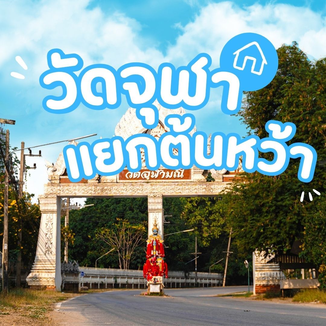 บ้านเดี่ยวพิษณุโลกโครงการใหม่ เทียบทำเล - วัดจุฬา-แยกต้นหว้า