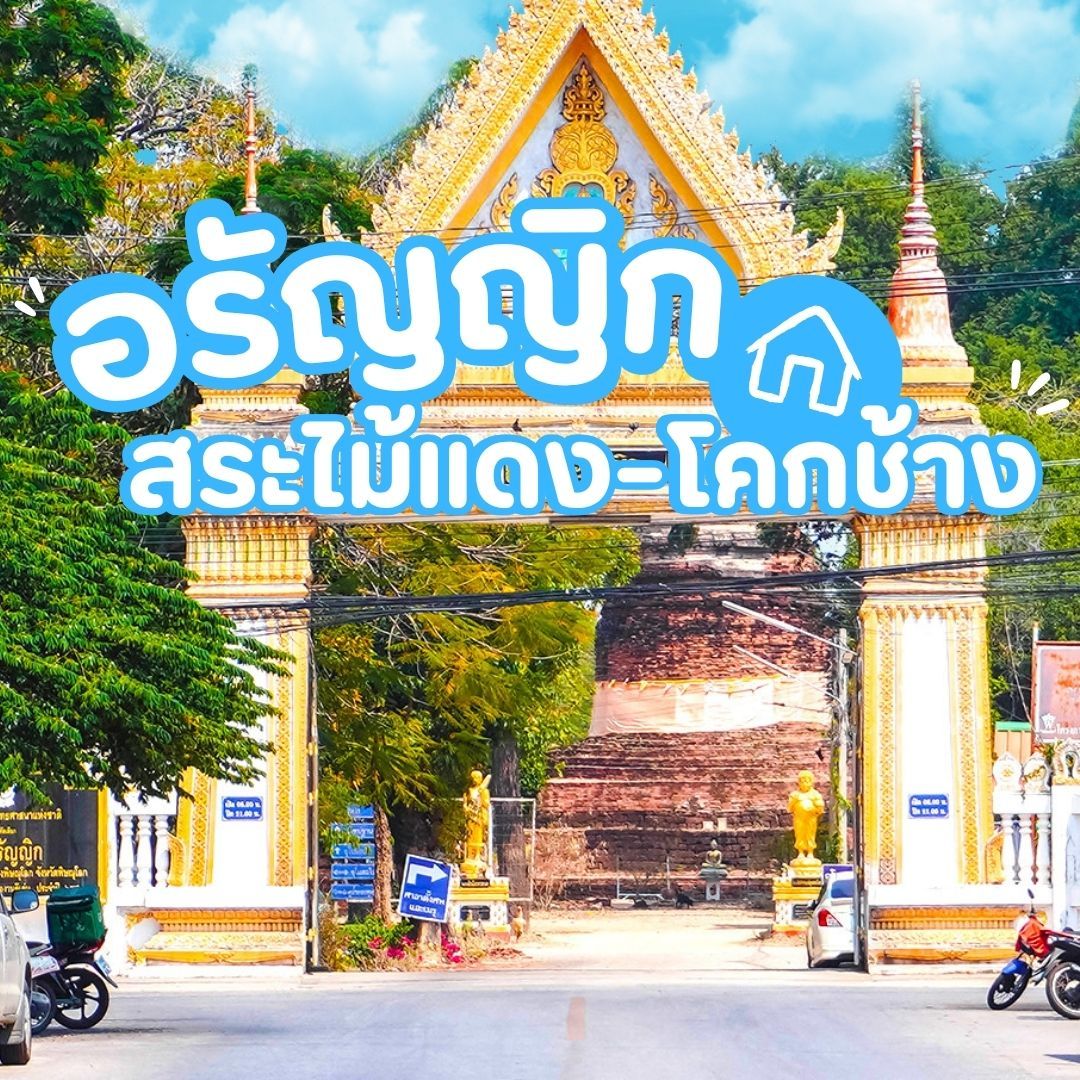 บ้านเดี่ยวพิษณุโลกโครงการใหม่ เทียบทำเล - อรัญญิก-สระไม้แดง-โคกช้าง