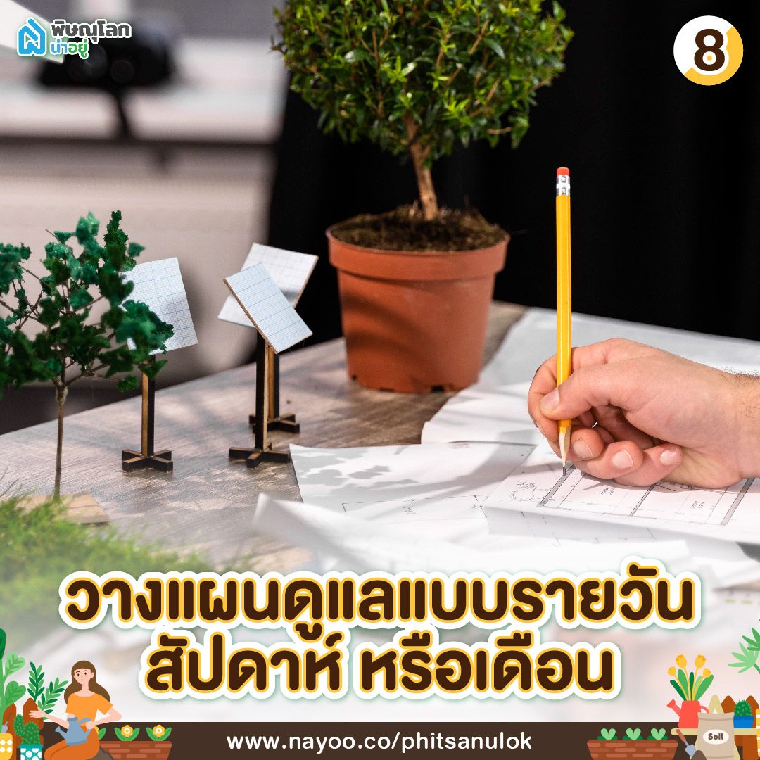 วิธีดูแลสวนหน้าบ้าน วางแผนการดูแลแบบรายวัน รายสัปดาห์ รายเดือน